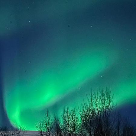 Tromsdalen Aurora Apartments Tromsø Kültér fotó