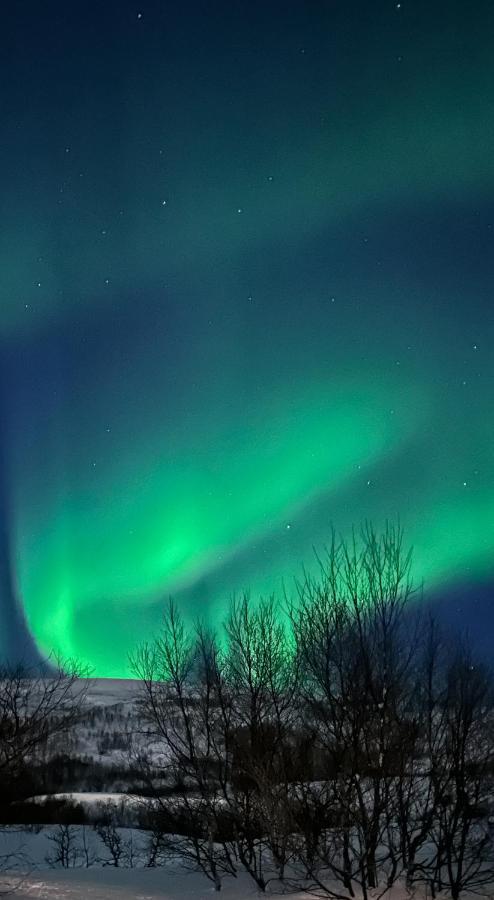 Tromsdalen Aurora Apartments Tromsø Kültér fotó